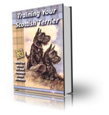 Product picture Training your scottish terrier
